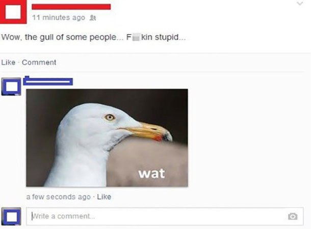dumbest people on facebook - 11 minutes ago Wow, the gull of some people...F kin stupid.. Comment wat a few seconds ago o Write a com Write a comment.