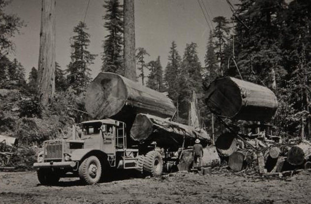 Redwood loggers of the mid 20th century.