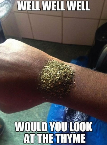 hilarious funny - Well Well Well Would You Look At The Thyme
