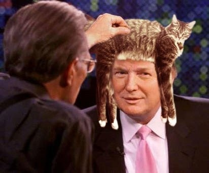 Trump meme of him wearing a cat for hair