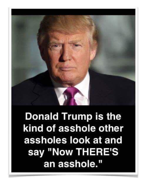 Trump meme about him being an abnormal asshole
