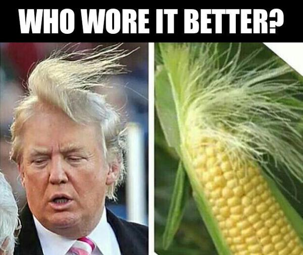 Trump meme comparing him to a cob of corn