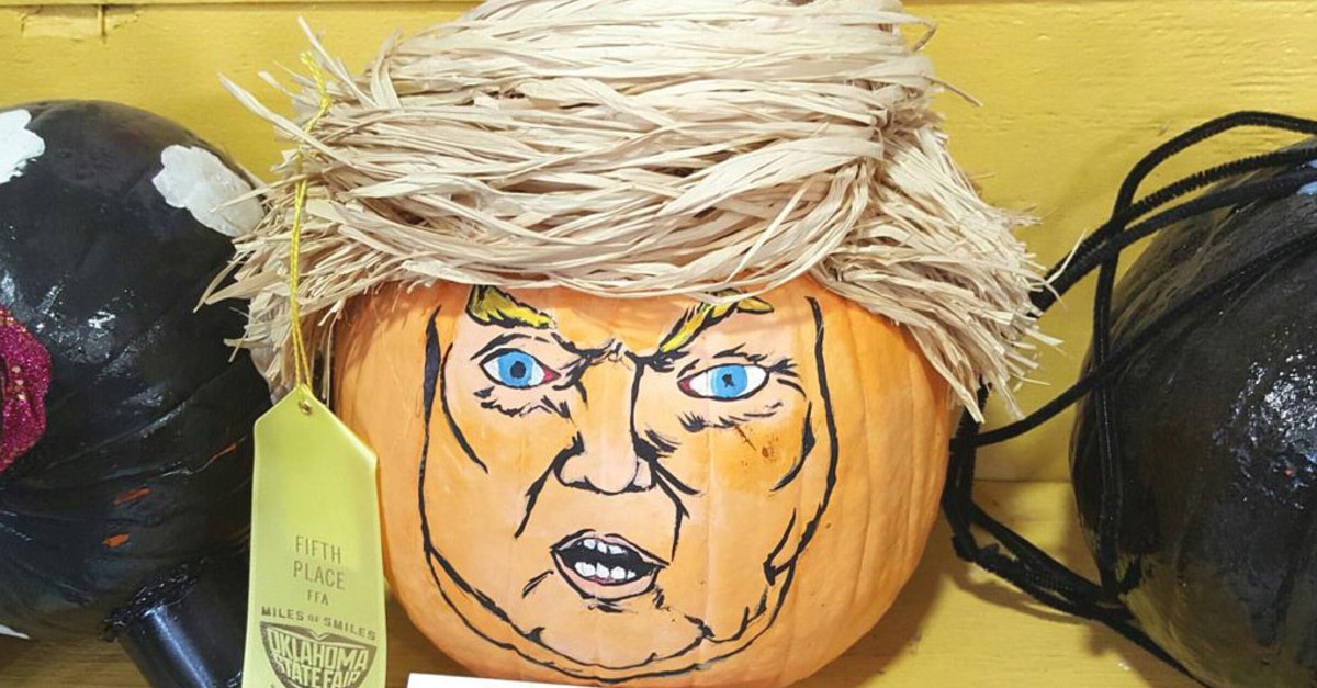 Trump meme of a pumpkin that looks like him