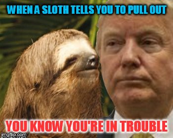 trump meme of poke butt meme - When A Sloth Tells You To Pull Out You Know You'Rein Trouble imgia.com