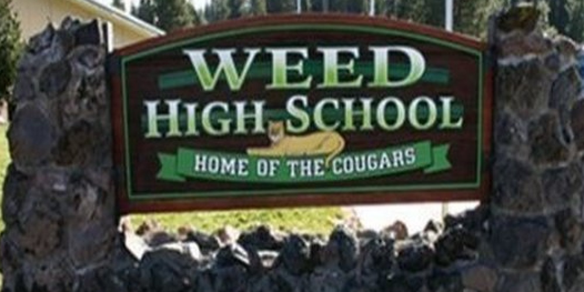 school name worst high school names - Weed High School Home Of The Cougarsk