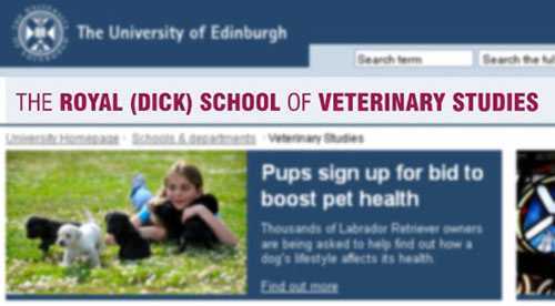school name The University of Edinburgh The Royal Dick School Of Veterinary Studies Pups sign up for bid to boost pet health Thousands of Labrador Retriev e r