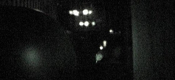 A Disney World patron caught this pic on the Haunted Mansion ride. He claims there were no children on the ride.