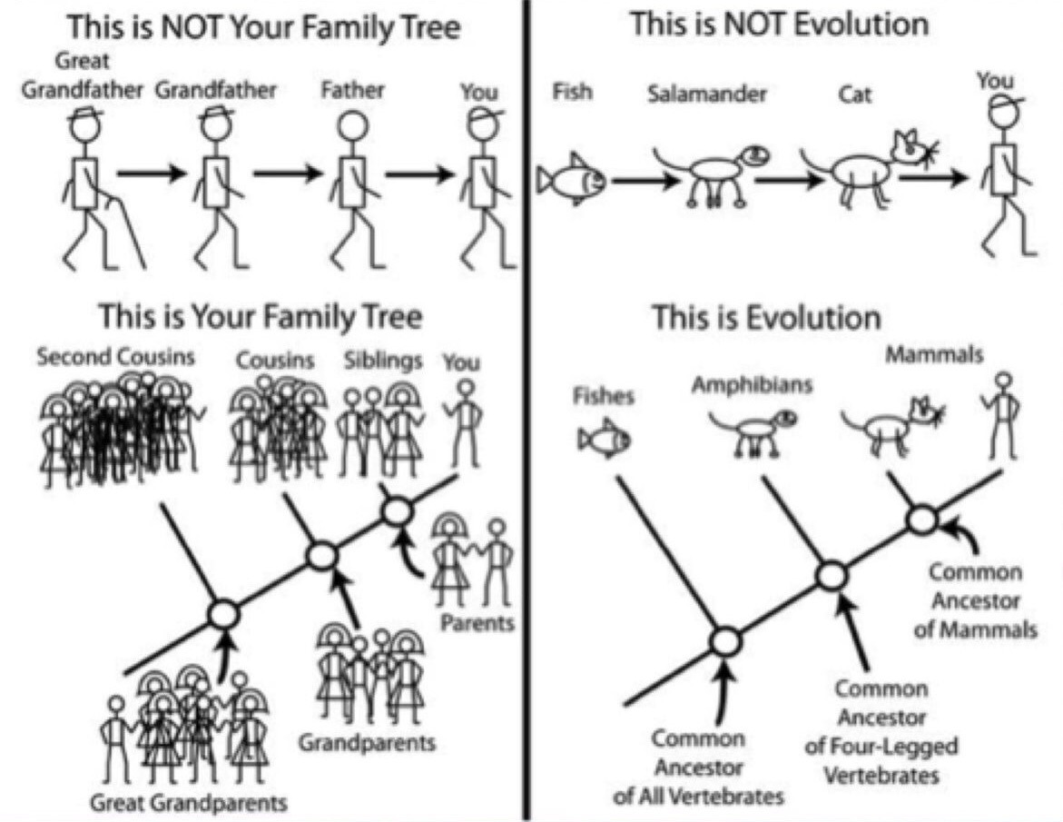 Atheism and Religion 6