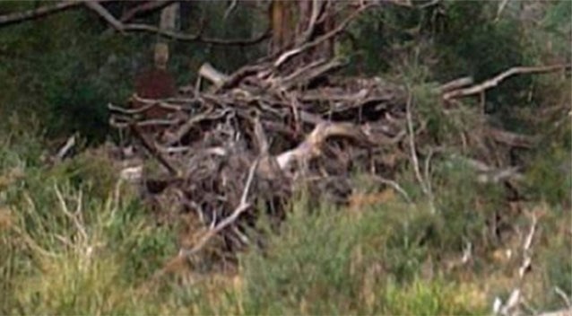 A man hiking in the Australian bush claimed to suddenly feel extreme dread. When reviewing his photos later, a man in red is seen staring right at him.