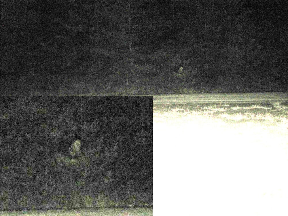 A couple of campers said they heard strange noises from behind their tent and both decided to take a look. They used their camera and claimed this strange face was not there until they reviewed the photos.