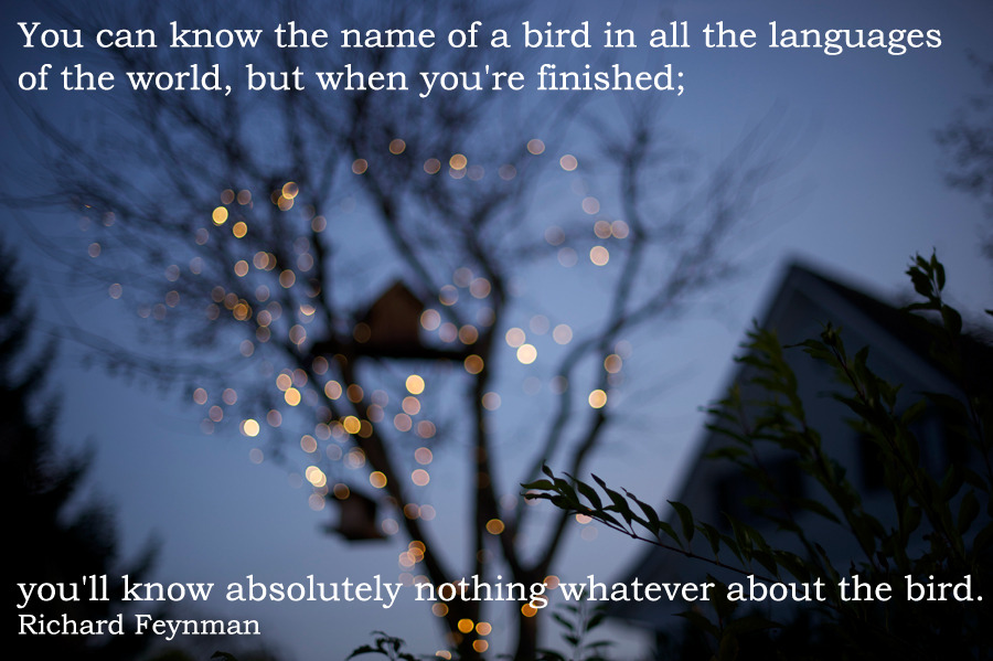 chinese fur farms - You can know the name of a bird in all the languages of the world, but when you're finished; you'll know absolutely nothing whatever about the bird. Richard Feynman