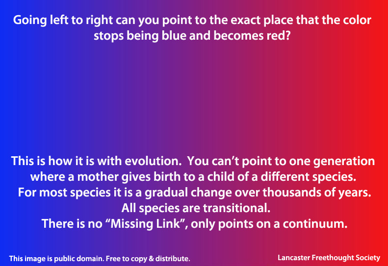 evolution color gradient - Going left to right can you point to the exact place that the color stops being blue and becomes red? This is how it is with evolution. You can't point to one generation where a mother gives birth to a child of a different speci
