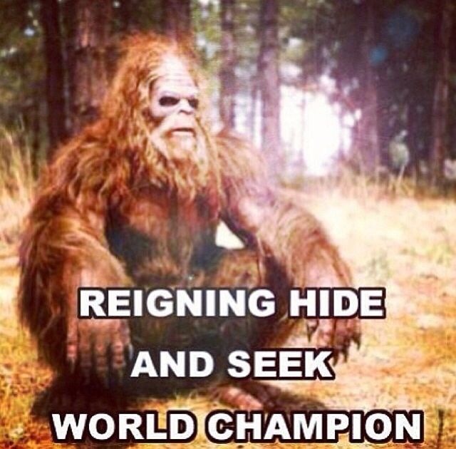 bigfoot world champion hide and seek - Reigning Hide And Seek World Champion