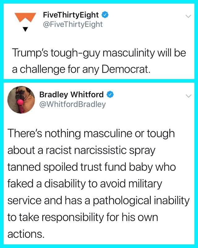 document - FiveThirty Eight Trump's toughguy masculinity will be a challenge for any Democrat. Bradley Whitford There's nothing masculine or tough about a racist narcissistic spray tanned spoiled trust fund baby who faked a disability to avoid military se