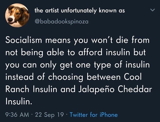 photo caption - Jan the artist unfortunately known as Socialism means you won't die from not being able to afford insulin but you can only get one type of insulin instead of choosing between Cool Ranch Insulin and Jalapeo Cheddar Insulin. 22 Sep 19 Twitte