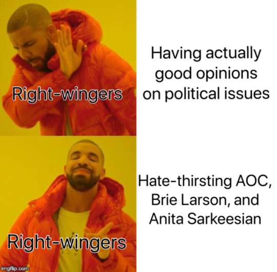 Having actually good opinions on political issues Rightwingers Hatethirsting Aoc, Brie Larson, and Anita Sarkeesian Rightwingers imgflip.com