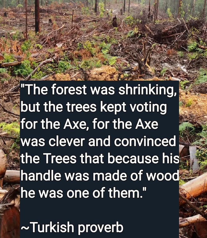 soil - "The forest was shrinking, but the trees kept voting for the Axe, for the Axe was clever and convinced the Trees that because his handle was made of wood he was one of them." ~Turkish proverb