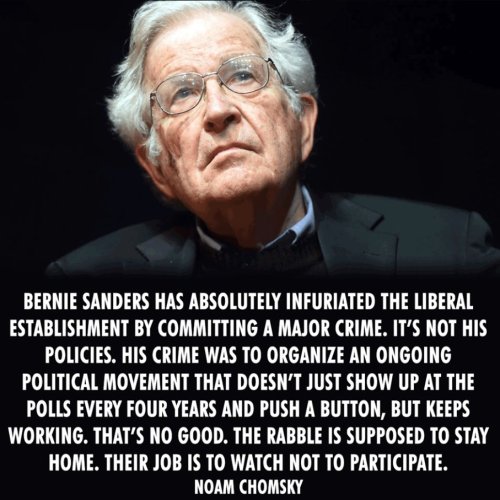 noam chomsky - Bernie Sanders Has Absolutely Infuriated The Liberal Establishment By Committing A Major Crime. It'S Not His Policies. His Crime Was To Organize An Ongoing Political Movement That Doesn'T Just Show Up At The Polls Every Four Years And Push 