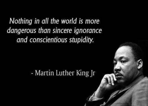 martin luther king jr day quotes - 'Nothing in all the world is more dangerous than sincere ignorance and conscientious stupidity. Martin Luther King Jr 12