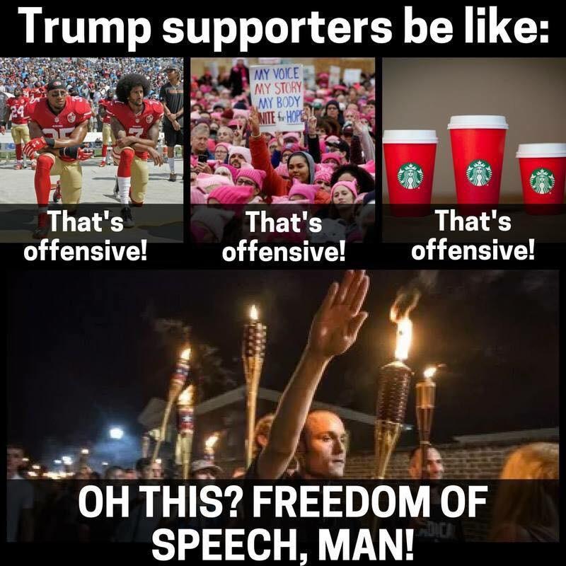 charlottesville tiki torches - Trump supporters be My Voice My Story My Body Nite Hope That's offensive! That's offensive! That's offensive! Oh This? Freedom Of Speech, Man!