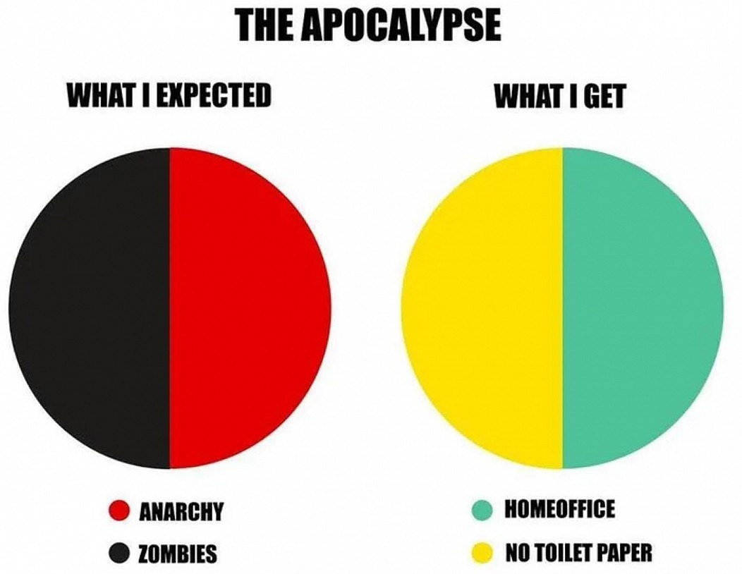 Toilet paper - The Apocalypse What I Expected What I Get Anarchy Zombies Homeoffice No Toilet Paper