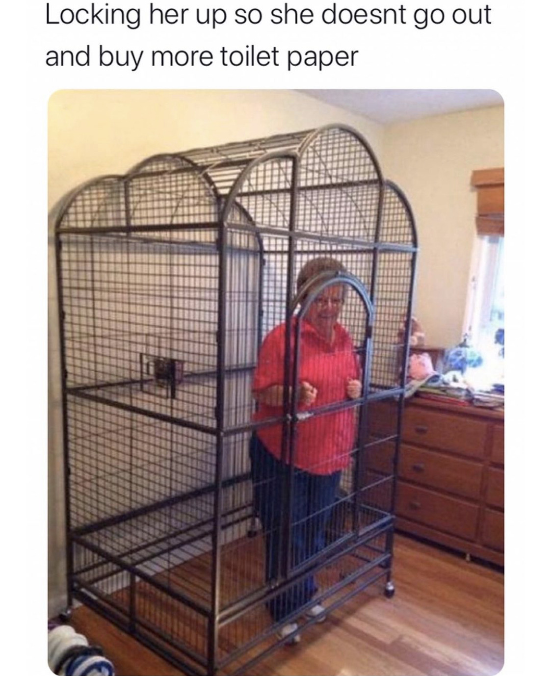 grandma in cage meme - Locking her up so she doesnt go out and buy more toilet paper