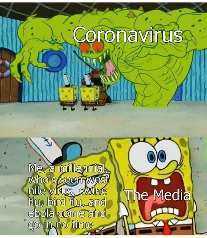 funny coronavirus memes - and Coronavirus Me, a millennial, who's seen west nile virus, swine flu, bird flu, and ebola come and go in no time The Media