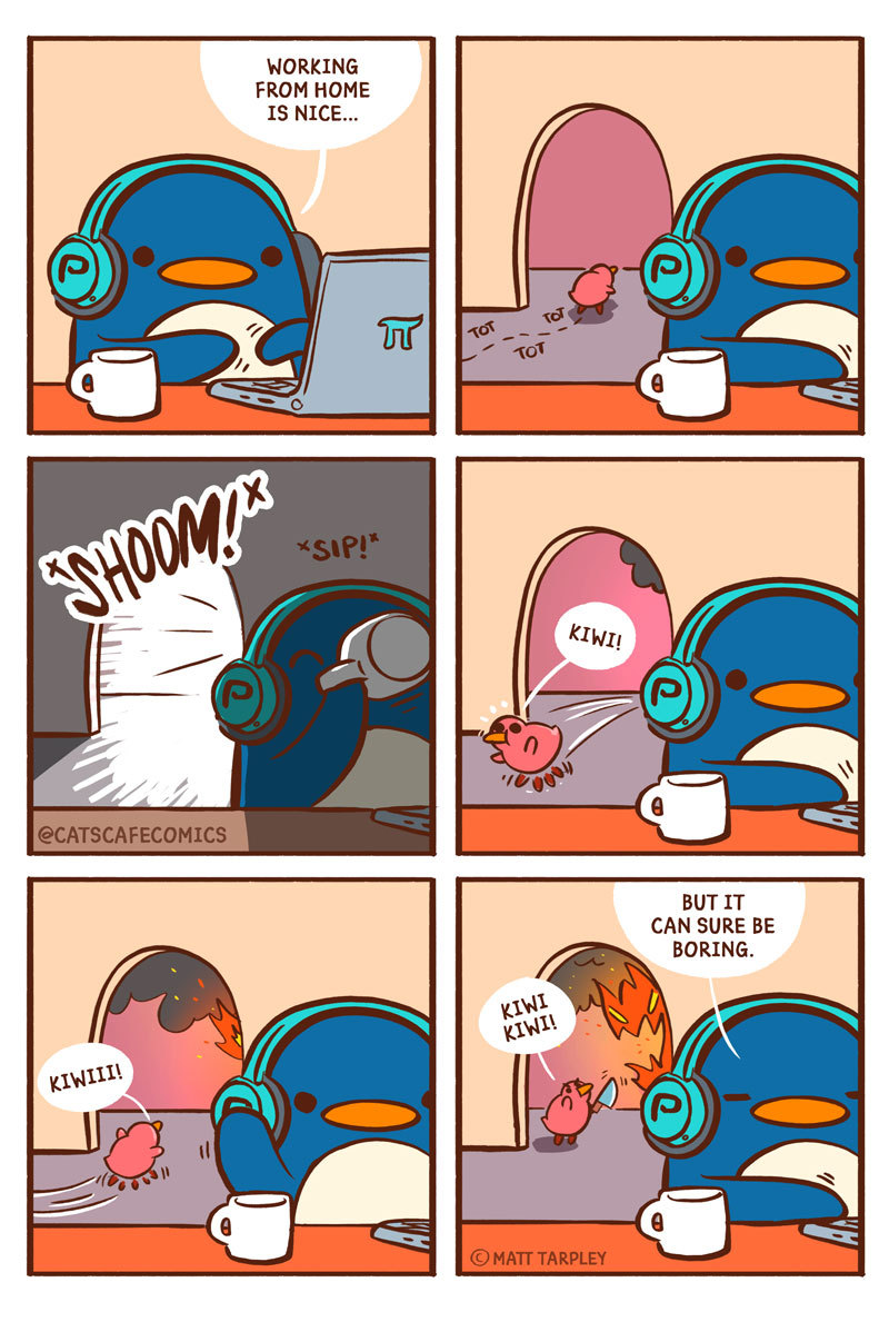 Big Book of *Coronavirus