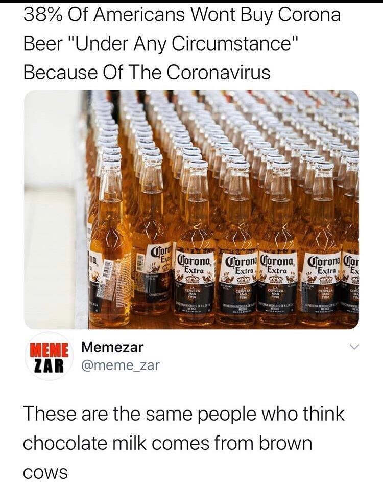 corona memes - 38% Of Americans Wont Buy Corona Beer "Under Any Circumstance" Because Of The Coronavirus Corona, Corono Corona Coron Cor 'Extra Extra Extra 13 Here Comeza T Osli Memezar Zar These are the same people who think chocolate milk comes from bro