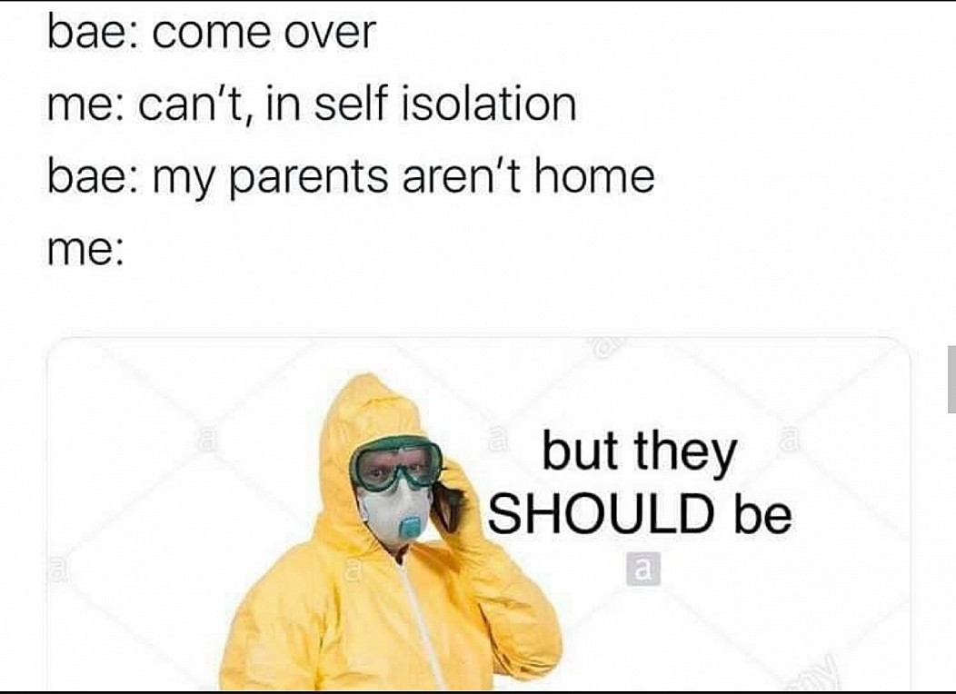 human behavior - bae come over me can't, in self isolation bae my parents aren't home me but they Should be a