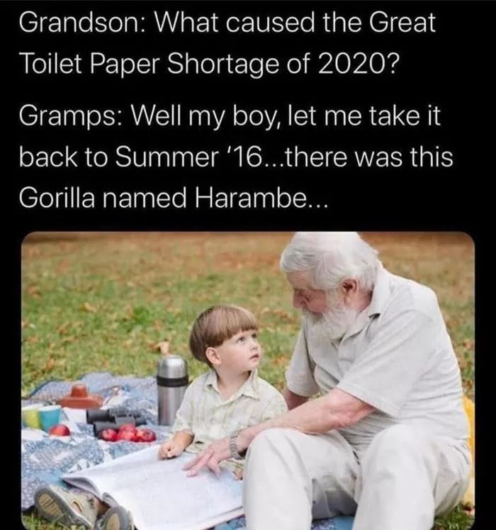 grandpa telling stories - Grandson What caused the Great Toilet Paper Shortage of 2020? Gramps Well my boy, let me take it back to Summer '16...there was this Gorilla named Harambe...