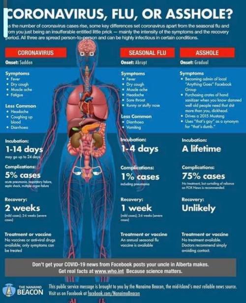 muscle - Coronavirus, Flu, Or Asshole? s the number of coronavirus cases rise, some key differences set coronavirus apart from the seasonal flu and om you just being an insufferable entitled little prickmainly the intensity of the symptoms and the recover