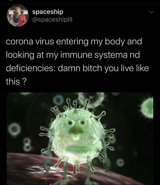 Coronavirus - spaceship corona virus entering my body and looking at my immune systema nd deficiencies damn bitch you live this?