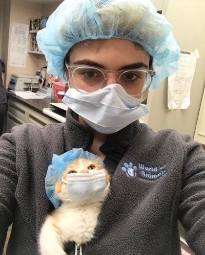 surgeon cat - World anels