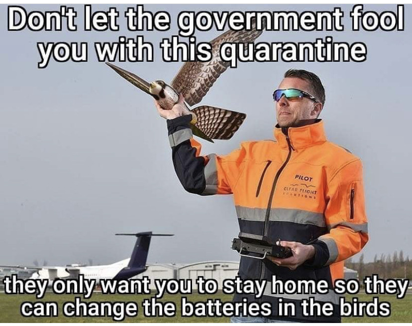 Internet meme - Don't let the government fool you with this quarantine Pilot Cliar Elight Ton they only want you to stay home so they can change the batteries in the birds