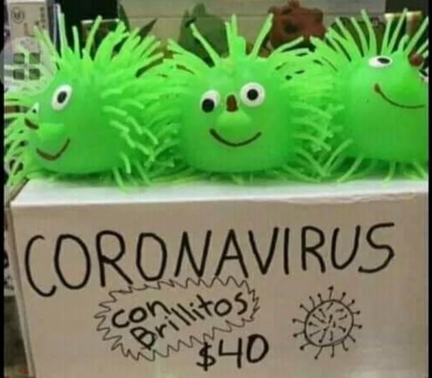 Photograph - Coronavirus