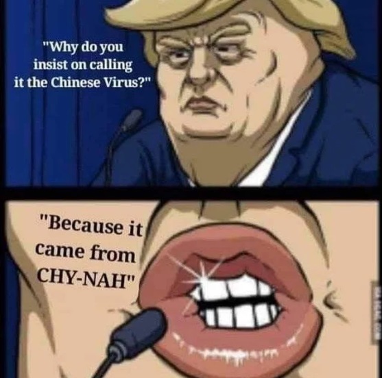 trump china 9gag - "Why do you insist on calling it the Chinese Virus?" "Because it came from ChyNah"