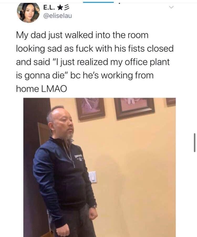shoulder - E.L. My dad just walked into the room looking sad as fuck with his fists closed and said "I just realized my office plant is gonna die" bc he's working from home Lmao
