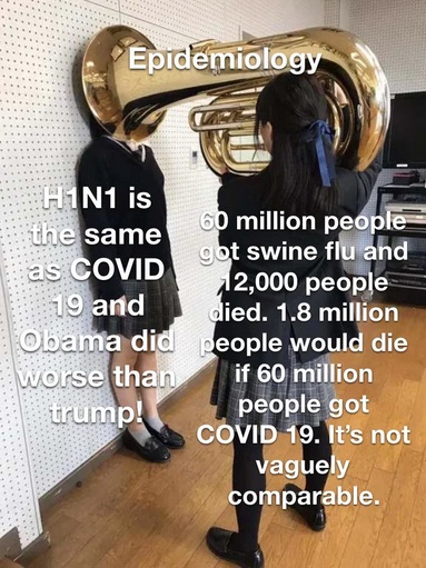 facebook - Epidemiology H1N1 is 60 million people the same got swine flu and as Covid 12,000 people 19 and died. 1.8 million Obama did people would die worse than if 60 million trump! people got Covid 19. It's not vaguely comparable.