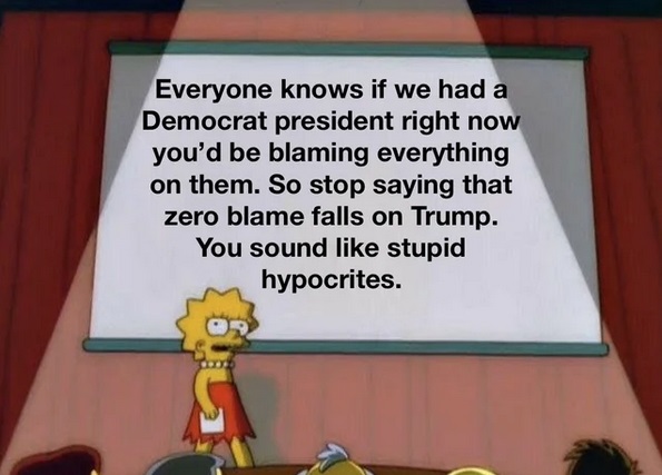 lisa simpson meme - Everyone knows if we had a Democrat president right now you'd be blaming everything on them. So stop saying that zero blame falls on Trump. You sound stupid hypocrites.