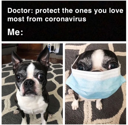 ear protection must be worn - Doctor protect the ones you love most from coronavirus Me