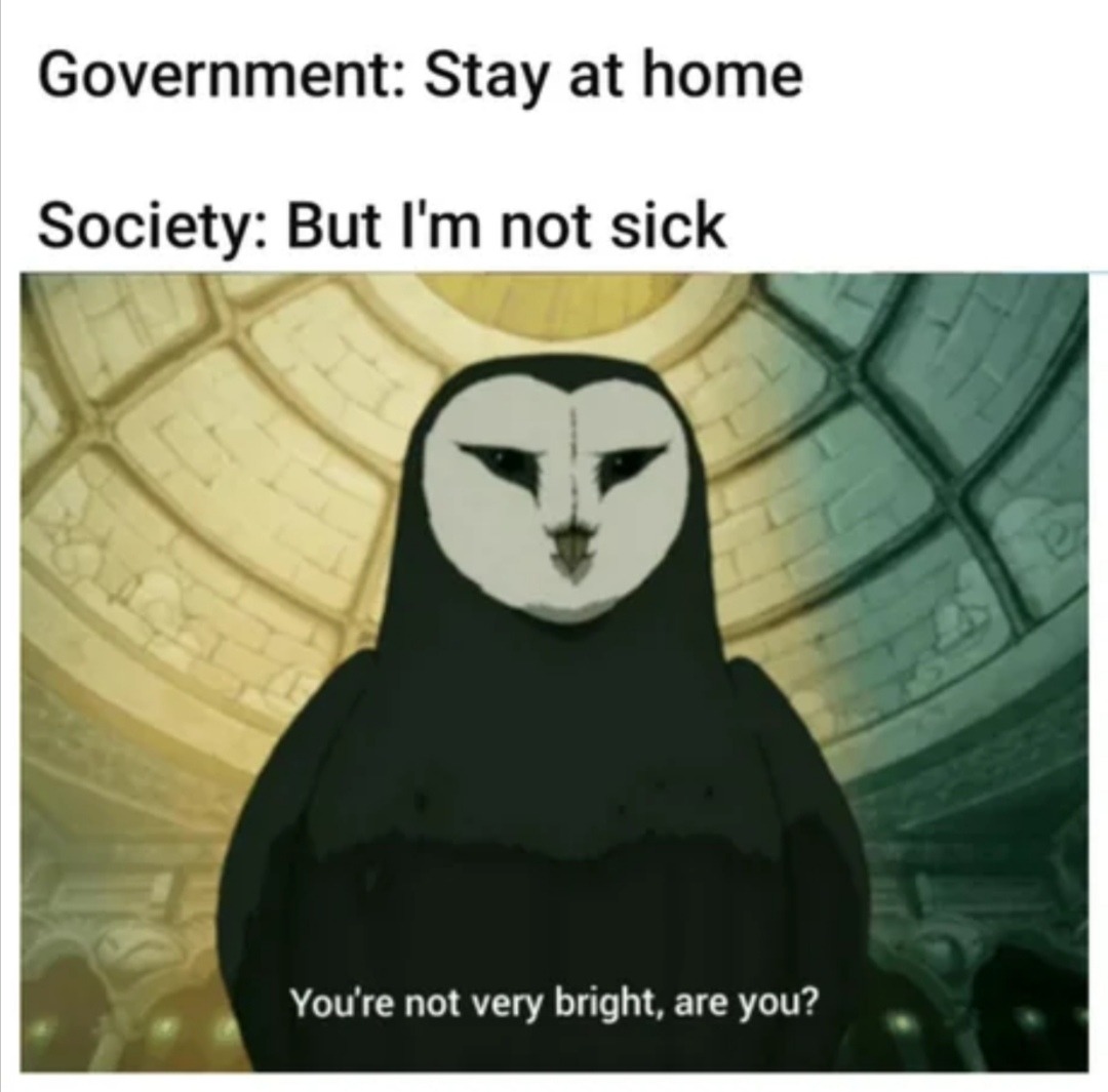 wan shi tong - Government Stay at home Society But I'm not sick You're not very bright, are you?