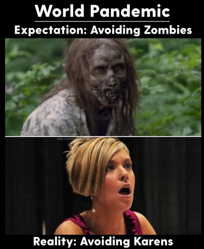 walking dead zombie - World Pandemic Expectation Avoiding Zombies Reality Avoiding Karens