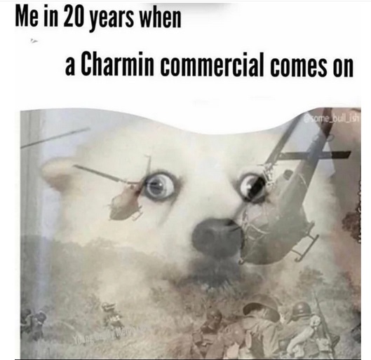 vietnam flashbacks - Me in 20 years when a Charmin commercial comes on