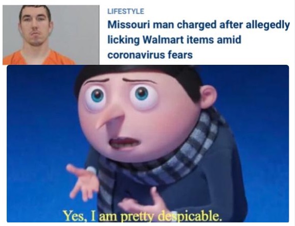 yes i am pretty despicable template - Lifestyle Missouri man charged after allegedly licking Walmart items amid coronavirus fears Yes, I am pretty despicable.