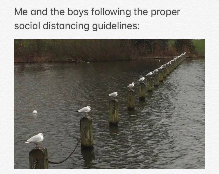 change the batteries in the birds - Me and the boys ing the proper social distancing guidelines