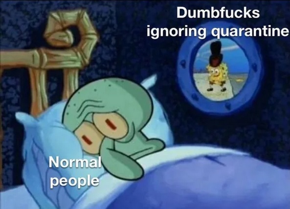 scared squidward meme - Dumbfucks ignoring quarantine Normal people