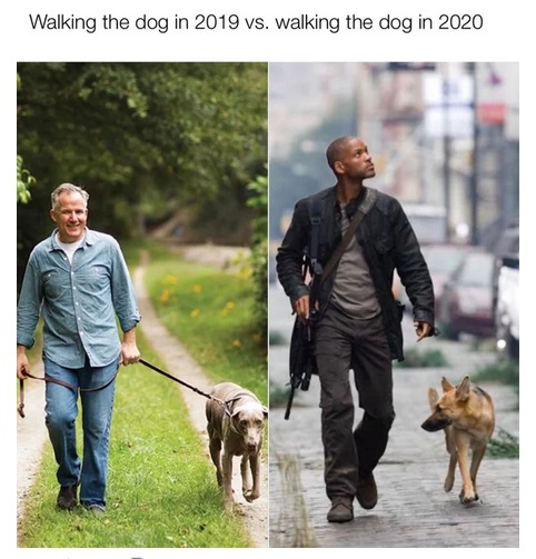 am legend - Walking the dog in 2019 vs. walking the dog in 2020