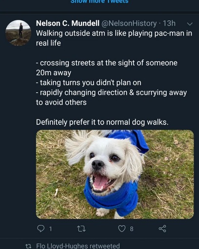 dog - Siuw more iweets Nelson C. Mundell History. 13h v Walking outside atm is playing pacman in real life crossing streets at the sight of someone 20m away taking turns you didn't plan on rapidly changing direction & Scurrying away to avoid others Defini