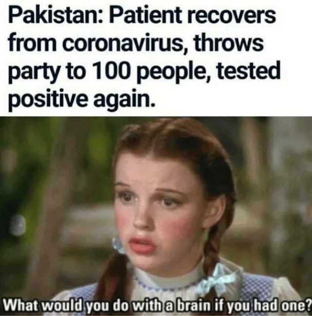funny work memes - Pakistan Patient recovers from coronavirus, throws party to 100 people, tested positive again. What would you do with a brain if you had one?